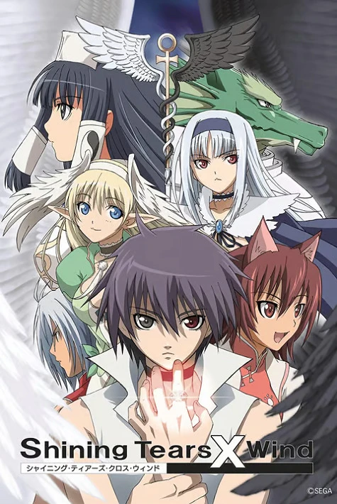 Сверкающие слёзы и ветер постер