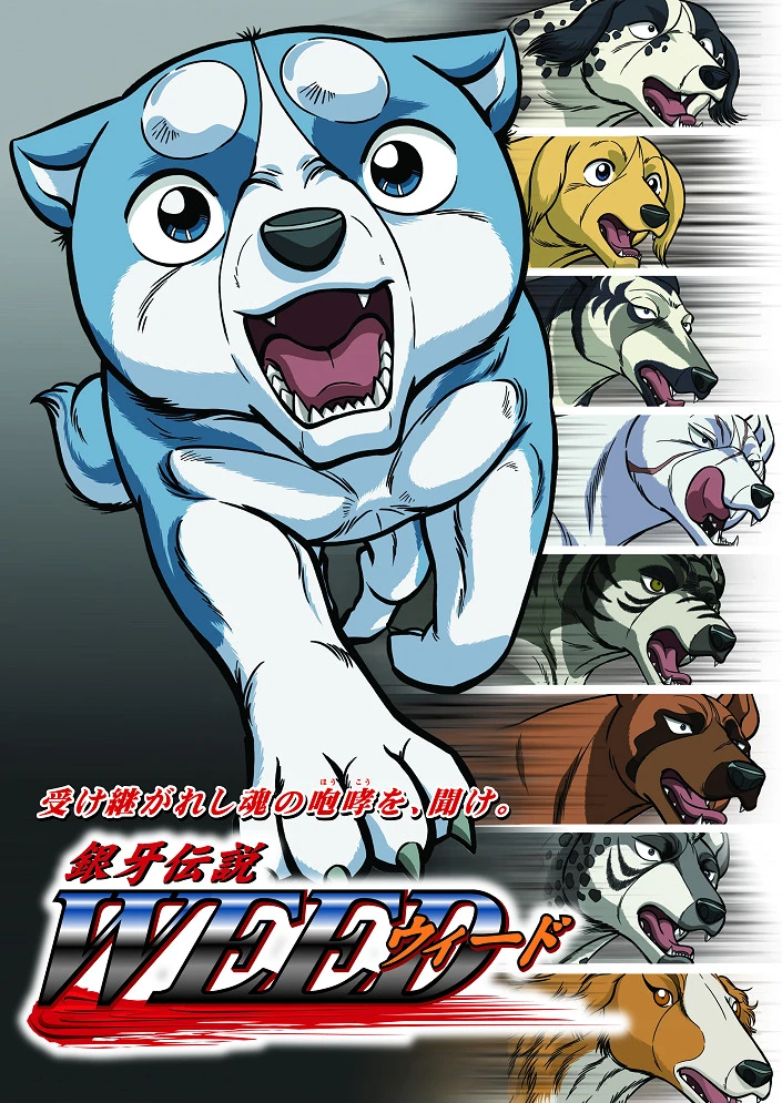 Легенда о Серебряном Клыке Уиде постер