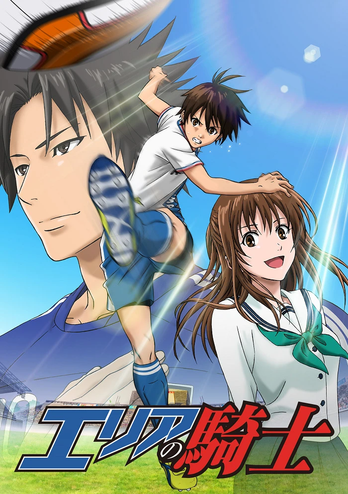 Паладин на поле постер