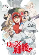 Постер Клетки за работой 2